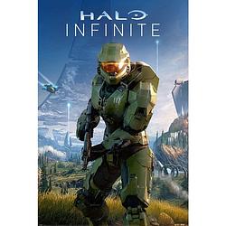 Foto van Pyramid halo infinite planetside poster 61x91,5cm