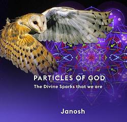 Foto van Particles of god - janosh - hardcover (9789079482153)