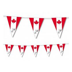 Foto van Canada vlaggetjes vlaggenlijn 3,5 meter - vlaggenlijnen