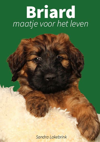 Foto van Briard maatje voor het leven - paperback (9789083291116)