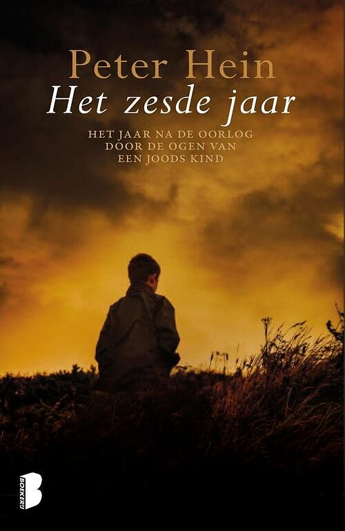 Foto van Het zesde jaar - peter hein - ebook (9789402302424)