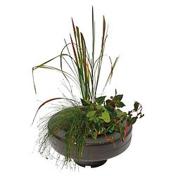 Foto van Superfish - floating plant basket diameter 30 cm vijver