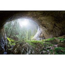 Foto van Wizard+genius cave in the forest vlies fotobehang 384x260cm 8-banen