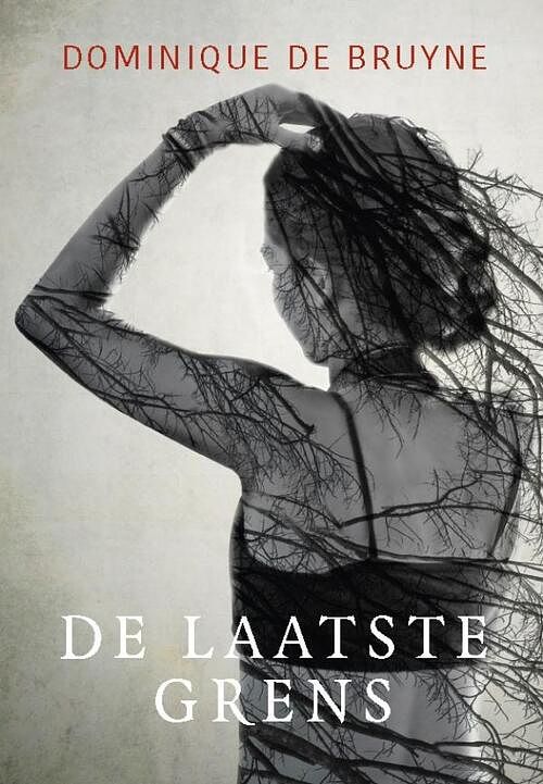 Foto van De laatste grens - dominique de bruyne - ebook (9789493191761)