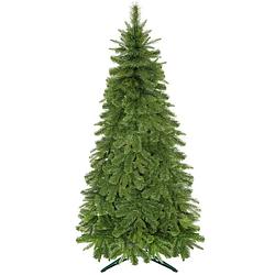 Foto van Kunstkerstboom caucasian pine 180 cm zonder verlichting