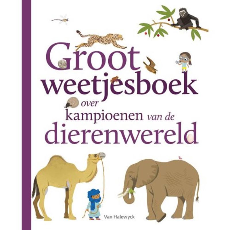 Foto van Groot weetjesboek over kampioenen van de