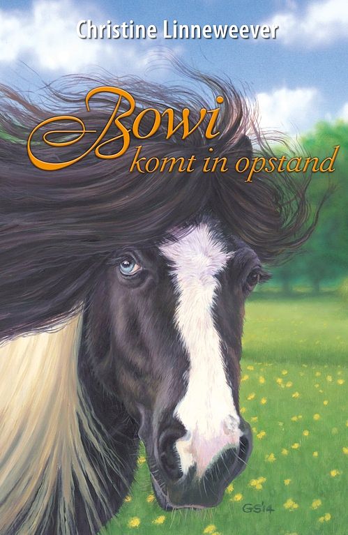 Foto van Bowi komt in opstand - christine linneweever - ebook