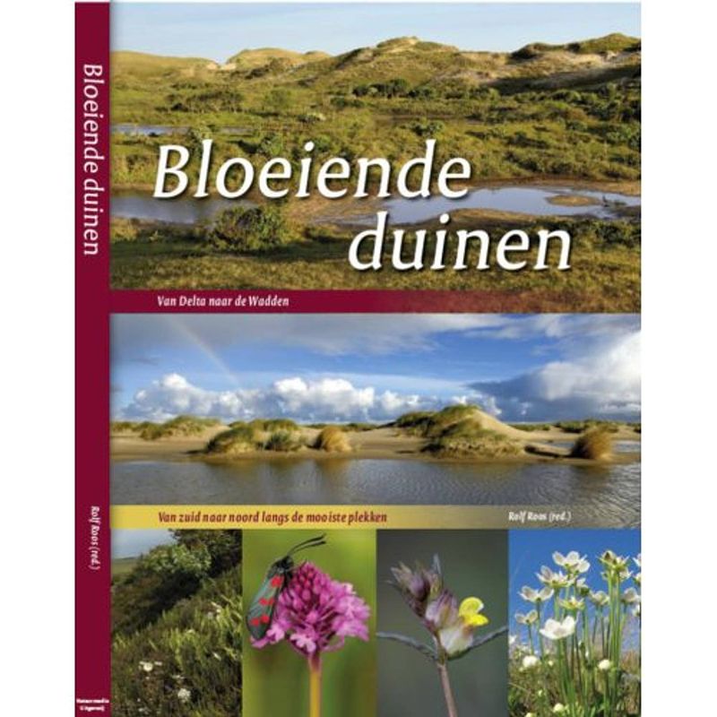 Foto van Bloeiende duinen