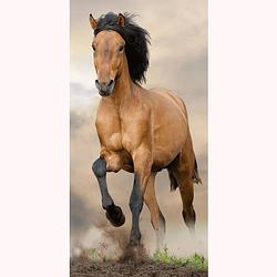 Foto van Animal pictures paard - strandlaken - 70 x 140 cm - multi