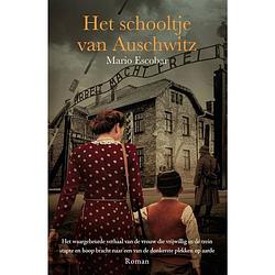 Foto van Het schooltje van auschwitz