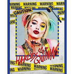 Foto van Pyramid birds of prey harley quinn warning poster 40x50cm