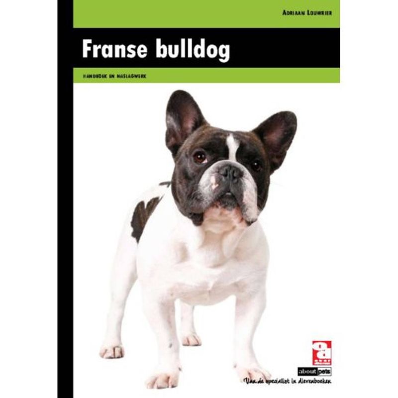 Foto van Franse bulldog - kennis en advies