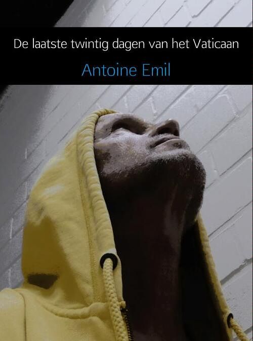 Foto van De laatste twintig dagen van het vaticaan - antoine emil - ebook (9789462547759)