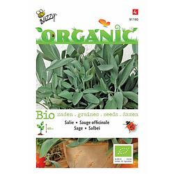 Foto van 5 stuks organic salie (skal 14275)