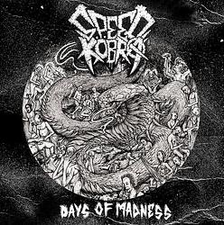 Foto van Days of madness - lp (2090405484138)