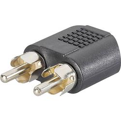 Foto van Speaka professional sp-7869756 cinch / jackplug audio y-adapter [2x cinch-stekker - 1x jackplug female 3,5 mm] zwart