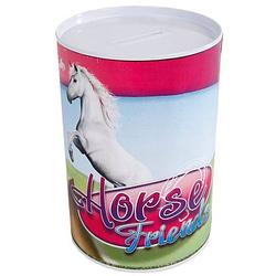 Foto van Horse friends spaarpot meisjes 8,5 x 11,5 cm staal roze/blauw