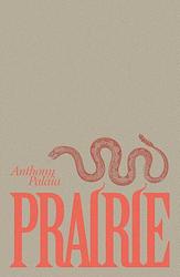 Foto van Prairie - anthony palaia - paperback (9789493293304)