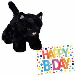 Foto van Pluche knuffel kat/poes zwart 18 cm met a5-size happy birthday wenskaart - knuffel huisdieren