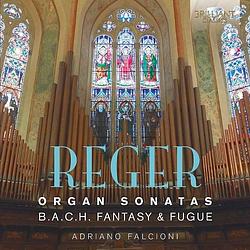 Foto van Reger: organ sonatas, b.a.c.h. fantasy & fugue - cd (5028421950754)