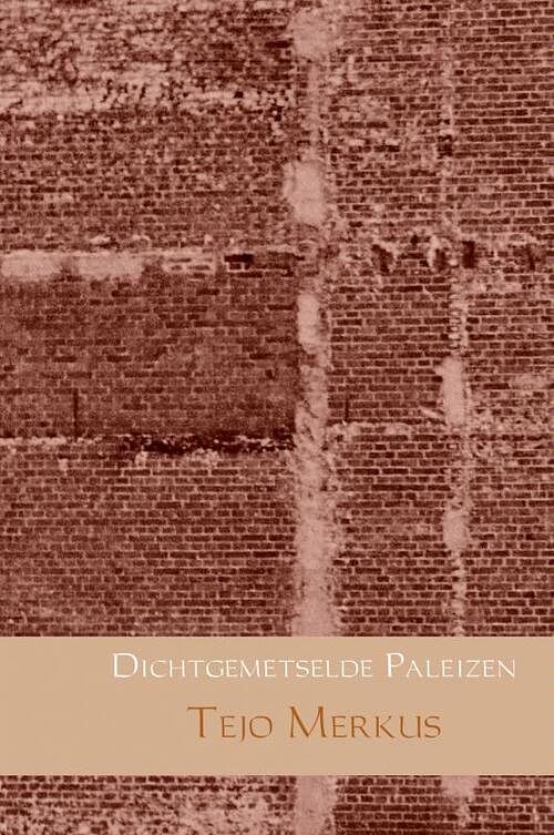 Foto van Dichtgemetselde paleizen - tejo merkus - paperback (9789402131512)