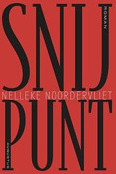 Foto van Snijpunt - nelleke noordervliet - ebook (9789045702209)