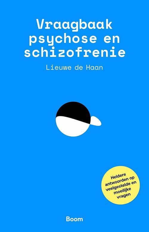 Foto van Vraagbaak psychose en schizofrenie - lieuwe de haan - ebook (9789024434596)