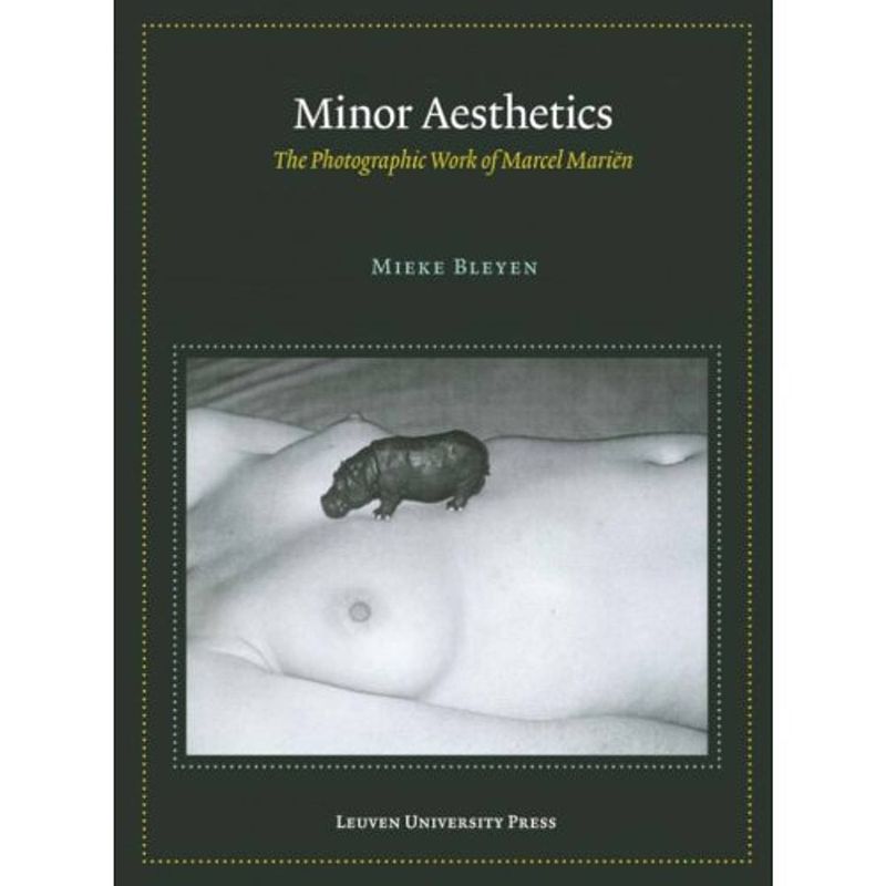 Foto van Minor aesthetics - lieven gevaert series