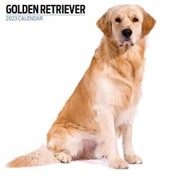 Foto van Golden retriever kalender 2023 modern