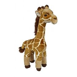 Foto van Gevlekte giraffe knuffel 45 cm knuffeldieren - knuffeldier