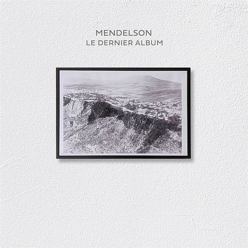 Foto van Le dernier album - lp (3521381568233)