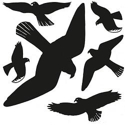 Foto van Vogelwering stickers voor binnen/buiten 30 x 30 cm - vogelverjagers