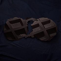 Foto van Dirty projectors - lp (0887828032518)