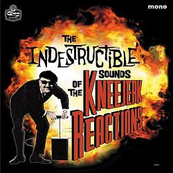 Foto van The indestructible sounds of... - cd (5055300352071)