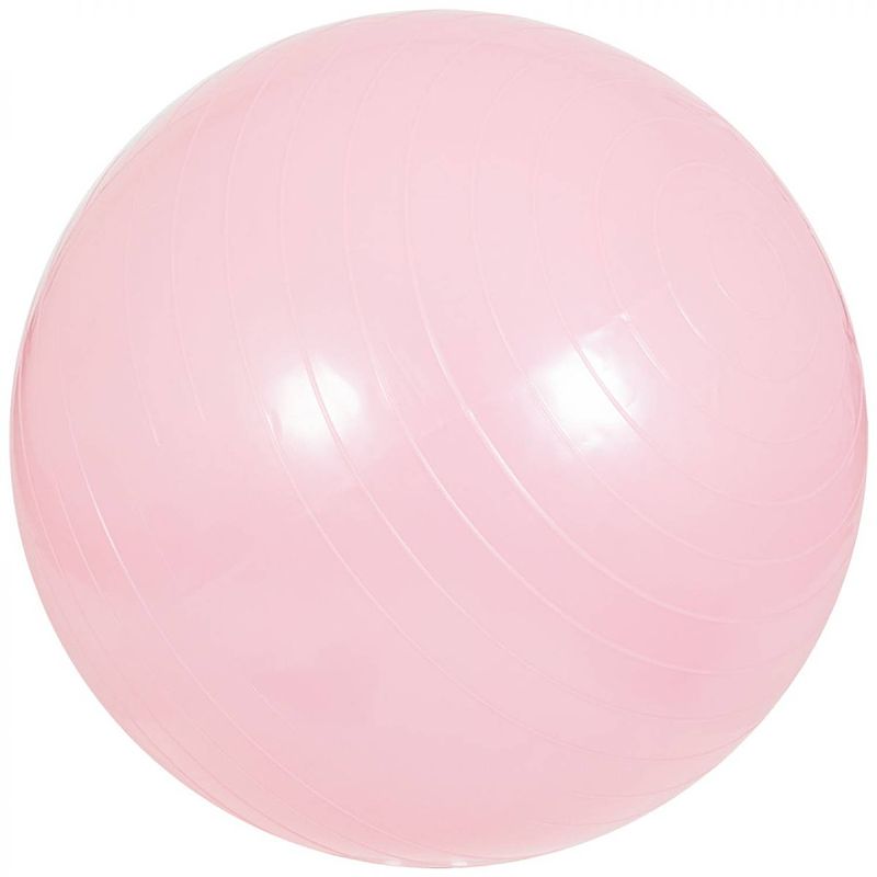 Foto van Gorilla sports fitness bal roze 65 cm ( met handige pomp)