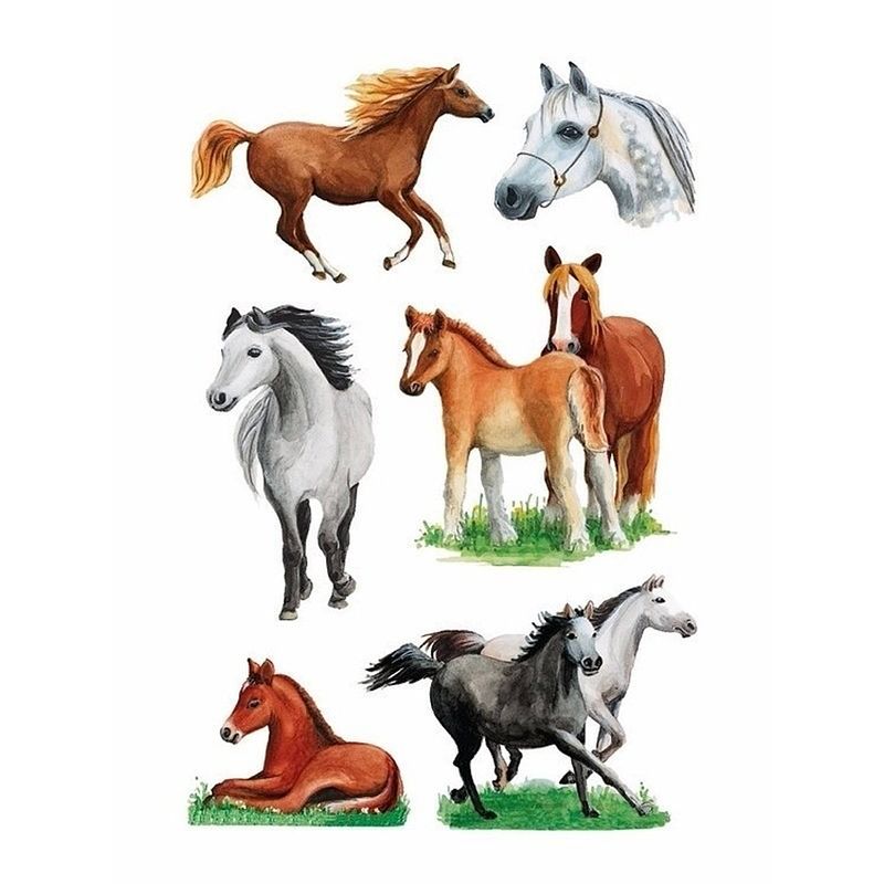 Foto van Paarden stickers 9 vellen - stickers