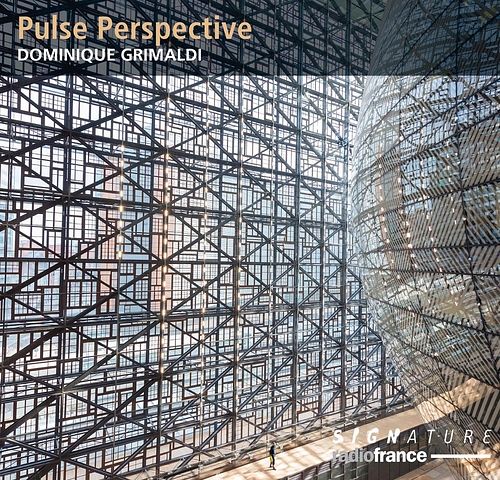 Foto van Pulse perspective - cd (3415820000395)