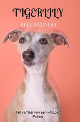 Foto van Tigerlily - elle werners - paperback (9789403709628)