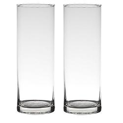 Foto van Set van 2x stuks transparante home-basics cylinder vorm vaas/vazen van glas 24 x 9 cm - vazen