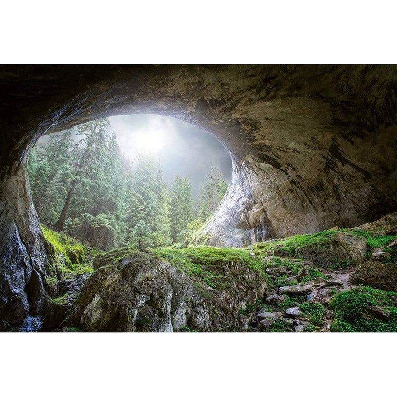Foto van Wizard+genius cave in the forest vlies fotobehang 384x260cm 8-banen