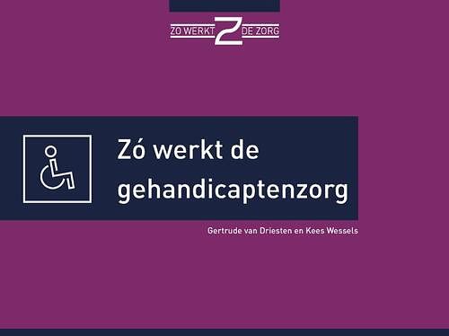 Foto van Zó werkt de gehandicaptenzorg - gertrude van driesten, kees wessels - hardcover (9789493004122)