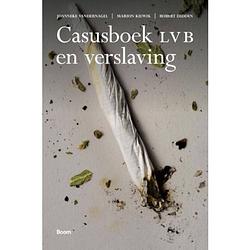 Foto van Casusboek lvb en verslaving