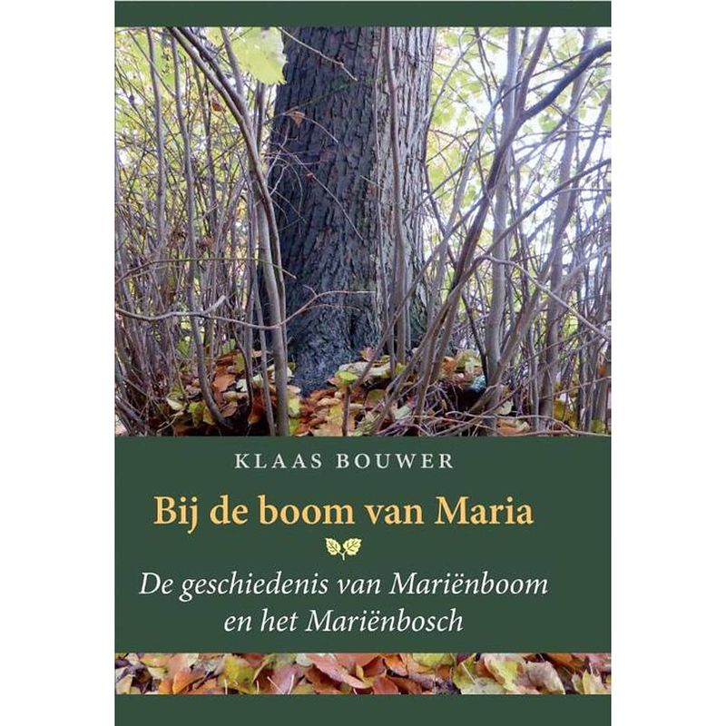 Foto van Bij de boom van maria