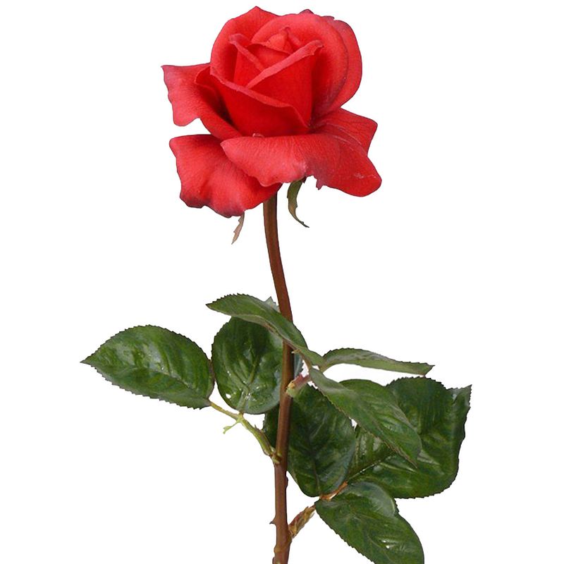 Foto van Top art kunstbloem roos caroline - rood - 70 cm - zijde - kunststof steel - decoratie bloemen - kunstbloemen
