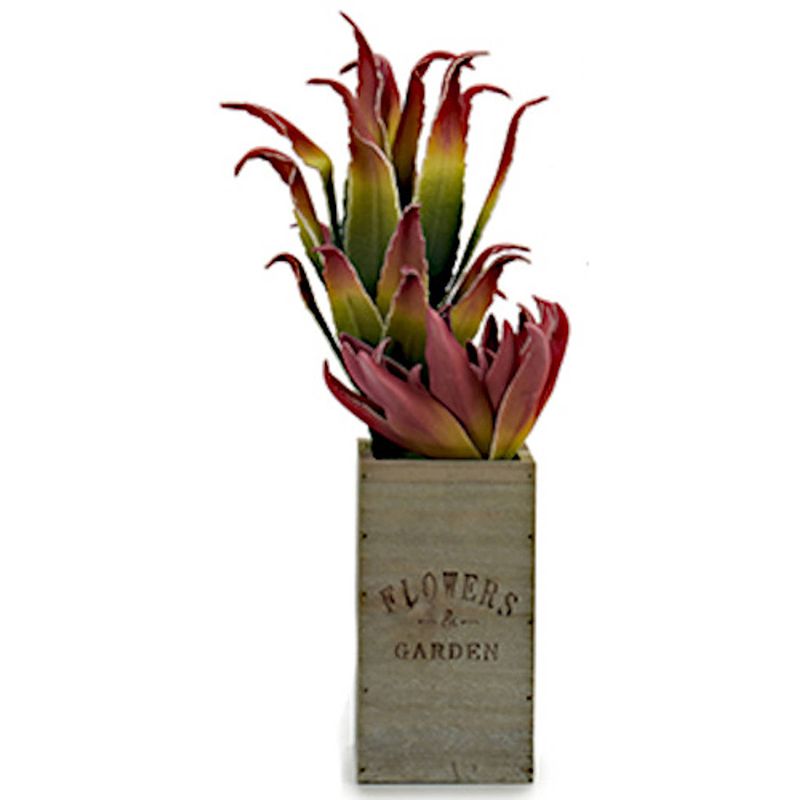 Foto van Ibergarden kunstplant vetplant 10 x 50 cm hout groen/rood