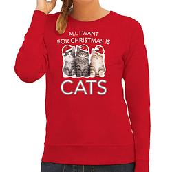 Foto van Rode kersttrui / kerstkleding all i want for christmas is cats voor dames 2xl - kerst truien