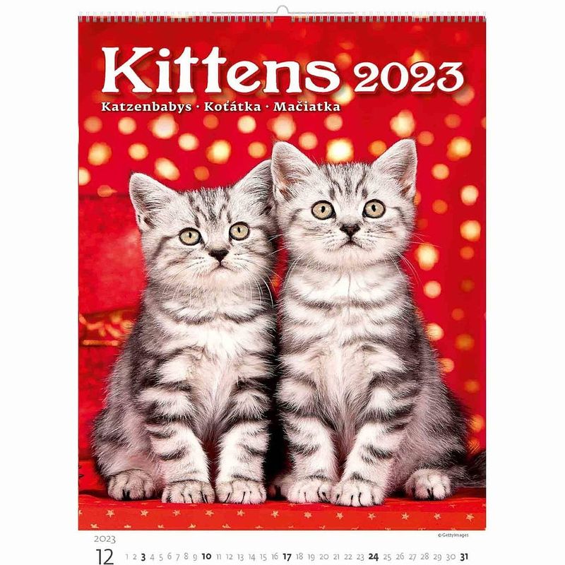 Foto van Kittens kalender 2023