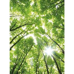 Foto van Wizard+genius sunny forest vlies fotobehang 192x260cm 4-banen