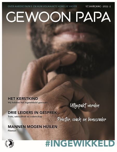 Foto van Gewoon papa - paperback (9789083264240)