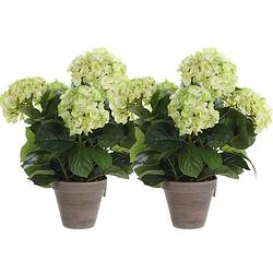 Foto van 2x lichtgroene hydrangea/hortensia kunstplant 45 cm in grijze pot - kunstplanten/nepplanten